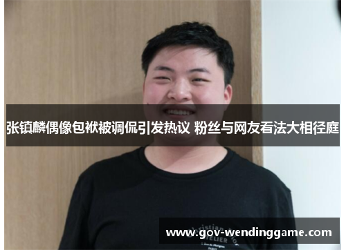 张镇麟偶像包袱被调侃引发热议 粉丝与网友看法大相径庭