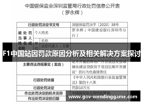 F1中国站因罚款原因分析及相关解决方案探讨