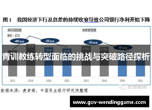青训教练转型面临的挑战与突破路径探析