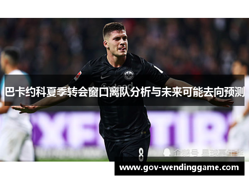 巴卡约科夏季转会窗口离队分析与未来可能去向预测