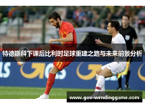 特德斯科下课后比利时足球重建之路与未来前景分析