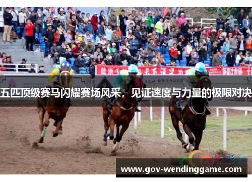 五匹顶级赛马闪耀赛场风采，见证速度与力量的极限对决