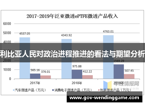 利比亚人民对政治进程推进的看法与期望分析