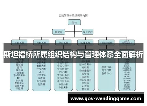 斯坦福桥所属组织结构与管理体系全面解析