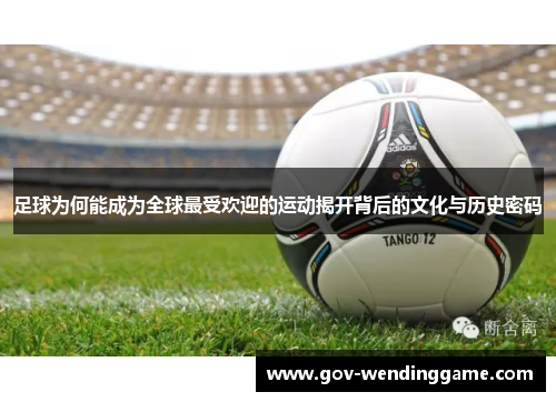 足球为何能成为全球最受欢迎的运动揭开背后的文化与历史密码