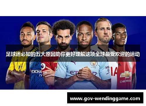 足球迷必知的五大原因助你更好理解这项全球最受欢迎的运动