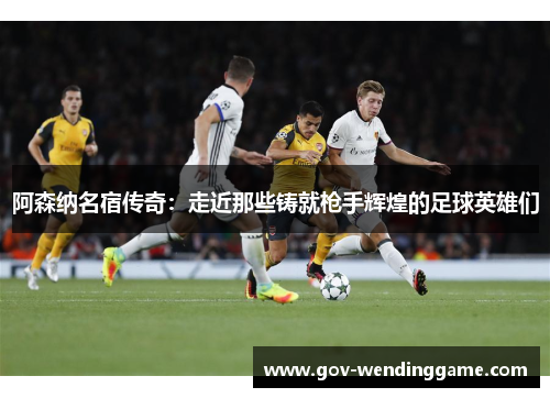 阿森纳名宿传奇：走近那些铸就枪手辉煌的足球英雄们